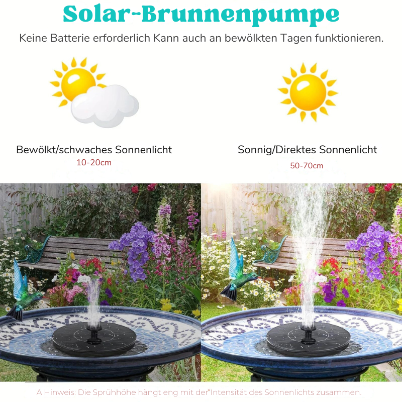 SunBath™ | Solar Fountain Pump for Bird Bath